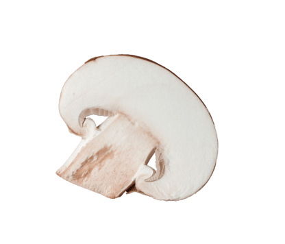Rumman mushroom